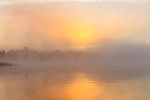 Sıcak renkler nehirde muhteşem sisli gün batımında