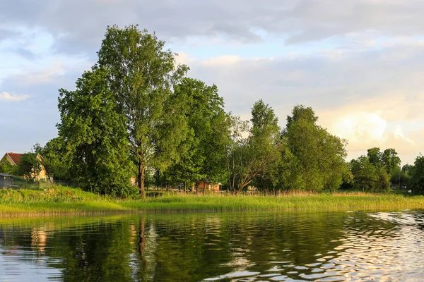 Sakin nehir ve doğal yansıma yeşil orman manzara