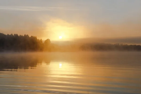 Anbud Glödande Orange Solnedgång Vid Riverside — Stockfoto