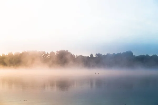 Günbatımı ile açık nehirde yaz manzara.