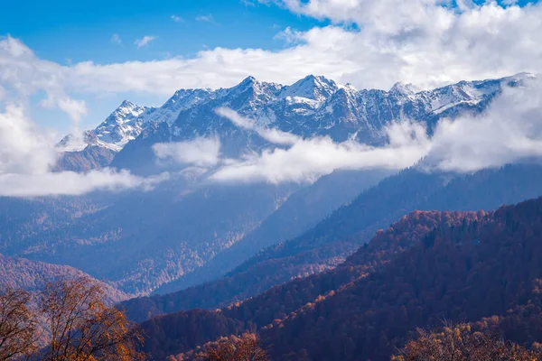 Wysokie Szczyty Górskie Pokryte Śniegiem Jasny Jesienny Las Tle Błękitnego — Zdjęcie stockowe