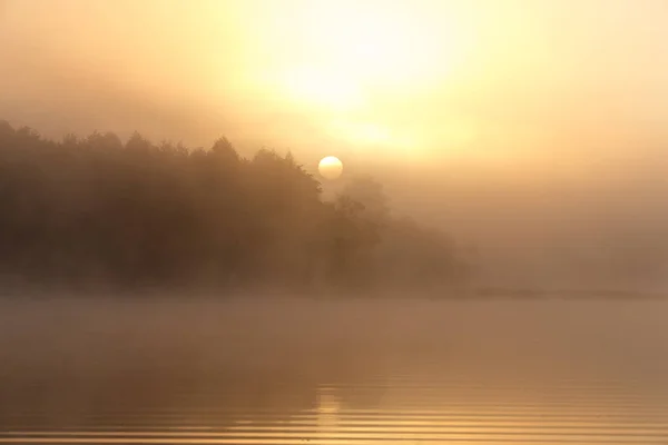 Nehir parlayan puslu turuncu günbatımı