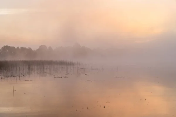 Sıcak renkler nehirde muhteşem sisli gün batımında
