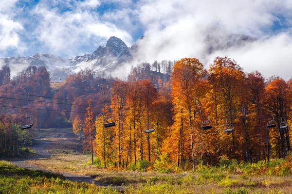 Bosque Otoñal Con Cielo Azul Nubes Blancas —  Fotos de Stock