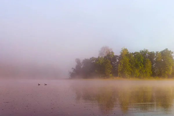 Yaz aylarında günbatımında sakin Nehri'nin doğal arka plan