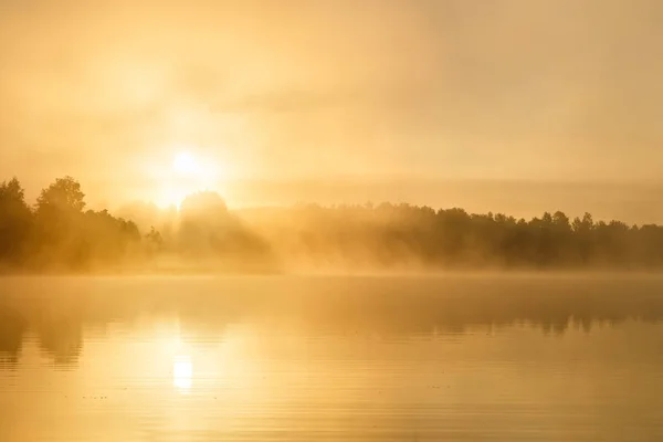 Nehirde sıcak renkler, parlak gün batımı