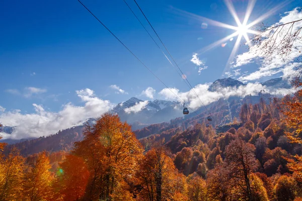 Üstten görünüm parlak sonbahar orman 