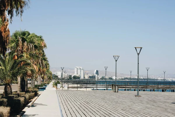 Ciprus Földközi Tenger Strand Fák Utcai Lámpák Limassol Város Elérési — Stock Fotó
