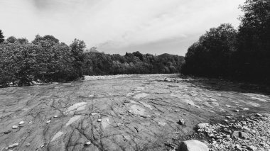 Karpat Dağları doğa, bitki örtüsü ve kayalık arazi 