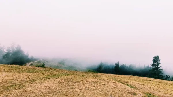 Nuages Brumeux Brouillard Dans Les Montagnes — Photo