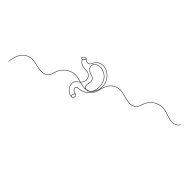 Mide ikonu ana hatlı vektör illüstrasyonunun sürekli bir çizimi