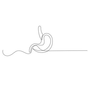 Mide ikonu ana hatlı vektör illüstrasyonunun sürekli bir çizimi