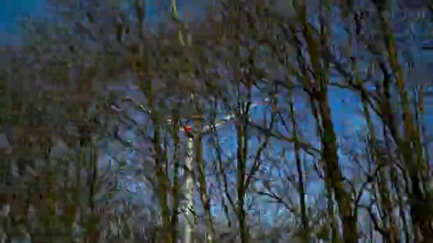 Ağaçlara doğru yoldan görüntülemek ve rüzgar türbinleri — Stok video