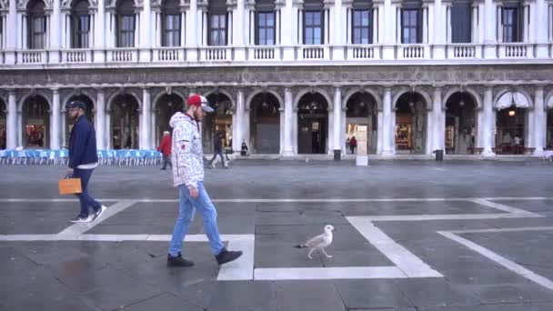 Man går nedför gatan med fågel — Stockvideo