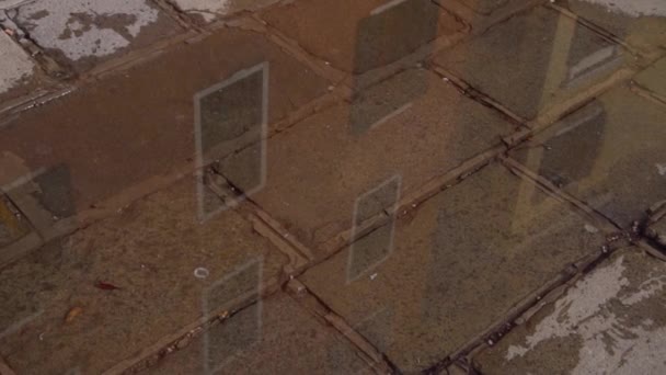 Παραλλαγή αργής κίνησης της σιλουέτας των πεζών που περπατούν σε βροχερό πεζοδρόμιο που αντικατοπτρίζει τον φωτισμό της πόλης. — Αρχείο Βίντεο