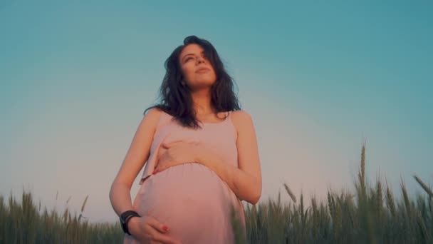 Беременная девушка стоит в поле, касается живота, смотрит на восходящее солнце — стоковое видео