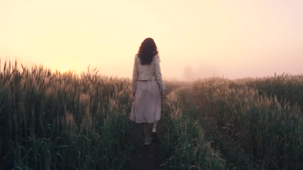 Une fille en robe marche à travers un champ avec des épillets de blé à l'aube dans le brouillard — Video