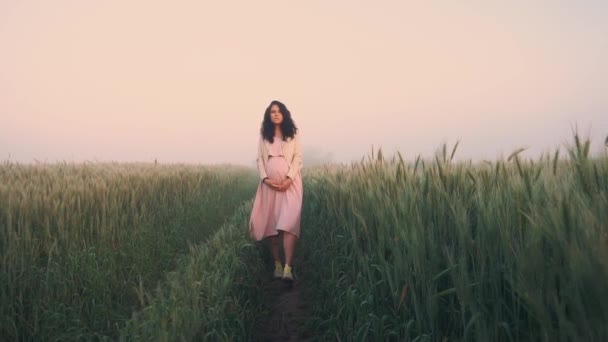 Ciężarna dziewczyna w sukience z długimi włosami spaceruje po polu o świcie. Dotyka włosów — Wideo stockowe