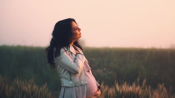 Fille enceinte dans un champ de blé, caressant son ventre et regardant au loin — Video