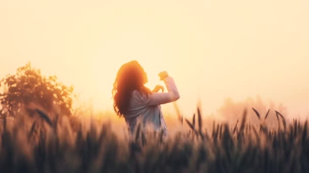 Молода дівчина стоїть талія-глибоко в вухах пшениці кидає волосся обома руками — стокове відео