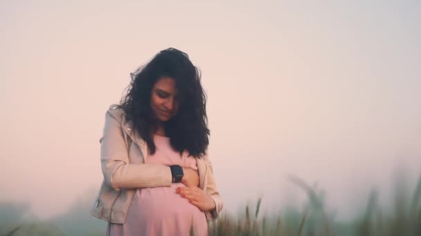 Schwangere steht in der Morgendämmerung auf dem Feld und streichelt ihren Bauch — Stockvideo
