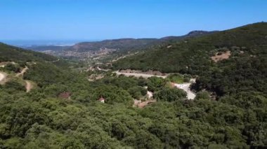 In Greece, the bell tower with a cross of an Orthodox church rises from the dense Mediterranean forest, surrounded by green trees.