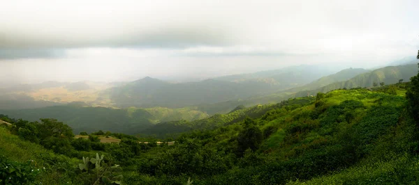 Vista Panoramica Aerea Sulla Foresta Pluviale Filfil Eritrea — Foto Stock