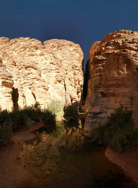 Bizzare Rock Formation Essendilene Tassili Najjer National Park Algeria — Stock Photo, Image