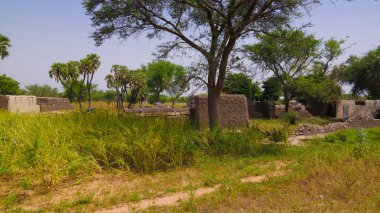 Panoramik Bkonni Hausa köy halkına: Tahoua, Niger