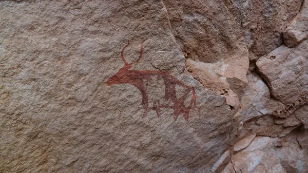 Jeskynní Malby Petroglyfy Najjer Národním Parku Alžírsku — Stock fotografie