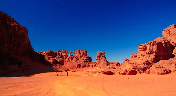 Manzara kumul ve kumtaşı doğa heykel Tamezguida, Tassili najjer ulusal parkında Cezayir