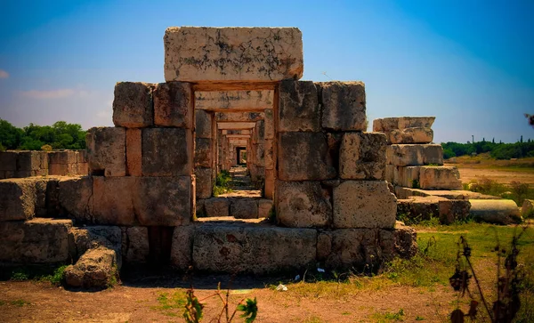 Restos Del Hipódromo Tribuno Sitio Excavación Columnas Antiguas Tiro Líbano — Foto de Stock