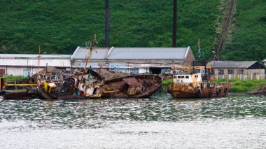 Wrecking ships at the Malokurilscoe harbour at Shikotan island, Kuril, Sakhalin, Russia clipart