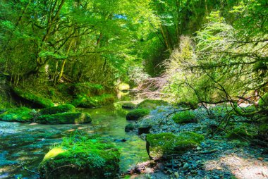 Abhazya, Gürcistan'daki Machara Yeşil Kanyon Nehri Panoraması