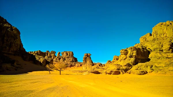 Abstract Rock Formation Tamezguida Tassili Najjer National Park Algeria — Stock Photo, Image