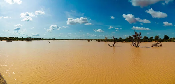 Panoramablick Auf Sahel Und Oase Dogon Tabki Mit Überflutetem Fluss — Stockfoto
