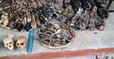 Ouidah, Benin Woodoo markette