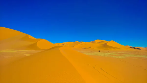 Abstrakte Felsformation Bei Tamezguida Tassili Najjer Nationalpark Algerien — Stockfoto