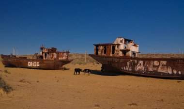Moynaq yakınındaki gemi mezarlıkta gündoğumu Karakalpakstan, Özbekistan'a inek ile Panoraması