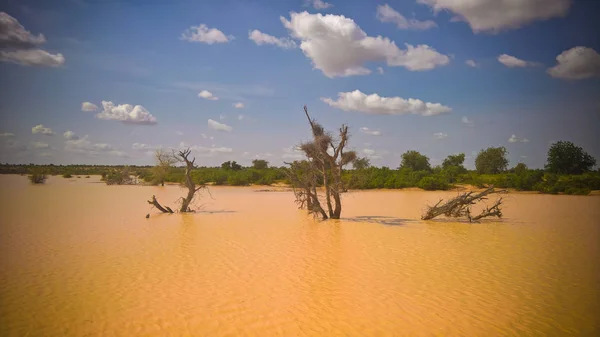 Panoramablick Auf Sahel Und Oase Dogon Tabki Mit Überflutetem Fluss — Stockfoto