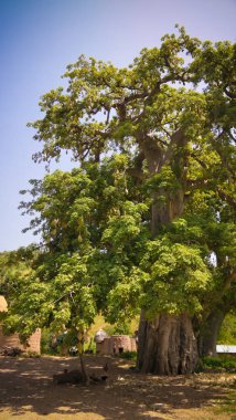 Geleneksel Tammari insanlar Köyü, Tamberma, Koutammakou, Kara bölgesinde, Togo Batammariba ülkesi