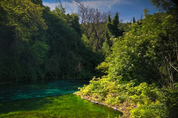 Переглянути Синім Очей Весни Джерела Початковий Води Річки Bistrice Біля — стокове фото
