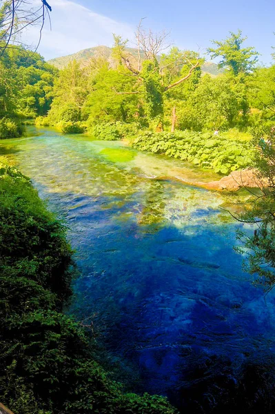 Переглянути Синім Очей Весни Джерела Початковий Води Річки Bistrice Біля — стокове фото
