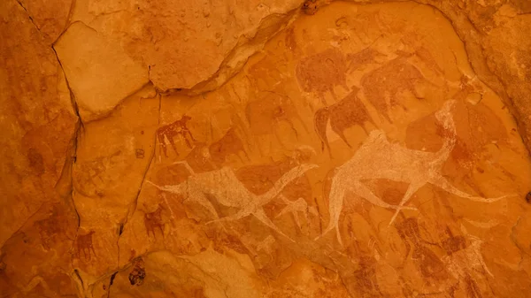 Jeskynní Malby Petroglyfy Jeskyni Bichagara Velblouda Kráva Ennedi Čad — Stock fotografie