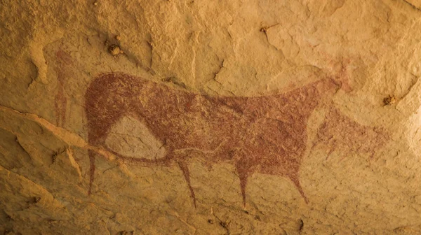 洞窟壁画とペトログリフ Terkei Ennedi チャドの別名最大の牛の — ストック写真