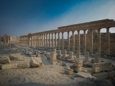 Palmyra sütunları ve antik kent, şimdi Daesh, Suriye tarafından tahrip
