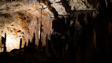 Postojna iç mağara aka Postojnska jama Slovenya