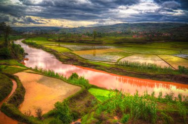Pirinç tarlaları ve Onive nehir Antanifotsy Madagaskar, manzara