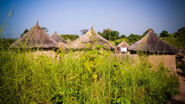 Village Traditionnel Des Brebis Près Tatale Togo — Photo