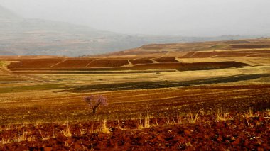 Malealea, Lesotho etrafında tarım alanı ile manzara